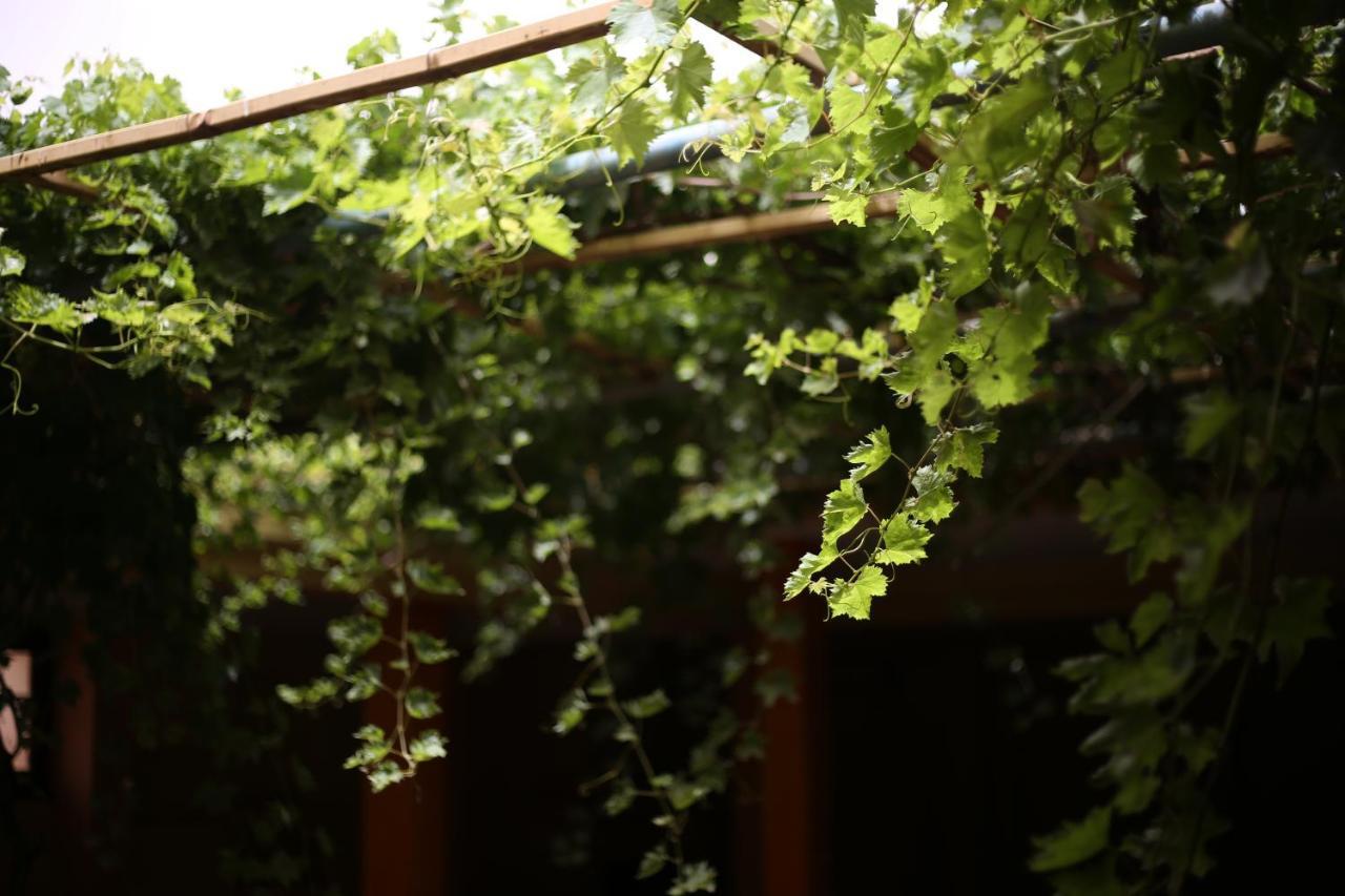 Auberge Jaafar Midelt Luaran gambar
